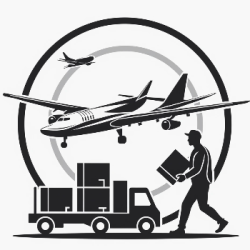 Air Transportation (Passenger and Cargo Services) 