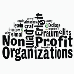 Non-Profit Organisations 